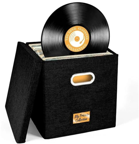 WAJJWI Vinyl Record Storage Box with Lid and Handle LP Albums Organizer Case For 12 Inch Album para Discos
