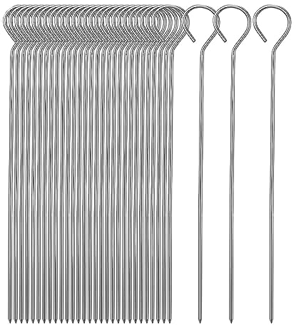 ASYKNM Set 20 Spiedini in Acciaio 24.5cm, Stuzzicadenti Barbecue Lunghi, Perfetti per Panettone, Falò, Grill per Marshmallow, Cioccolato, Spuntini e Verdure.