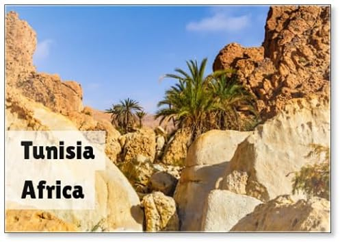 Small Deserted Mountain Oasis with Wild Date Palms. Tunisia Africa, Design 2, Fridge Magnet