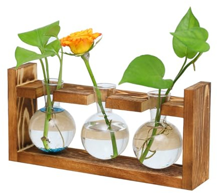 Glas Propagation Station für Pflanzen, Pflanzenterrarium mit Holzständer, Ableger Pflanzen Glas, für Home Büro Regal Fensterbank Tischdeko, für Frauen Männer Geburtstagsgeschenk (U-Shaped)