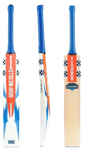 Gray-Nicolls Havoc 1.0 Power Junior English Willow Cricket Bat (5)