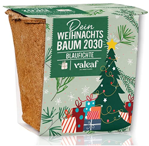 valeaf Weihnachtsbaum Anzucht Set I tolle Geschenk-Idee, Wichtelgeschenke Weihnachten, Nikolausgeschenke und Garten Geschenke I Weihnachtsbaum aus der Dose (Blaufichte)