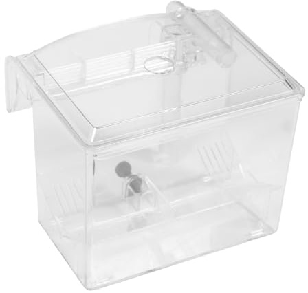 Kisangel Boîte Isolement pour Poissons Boîte Élevage pour Aquarium De Poissons avec Suspension