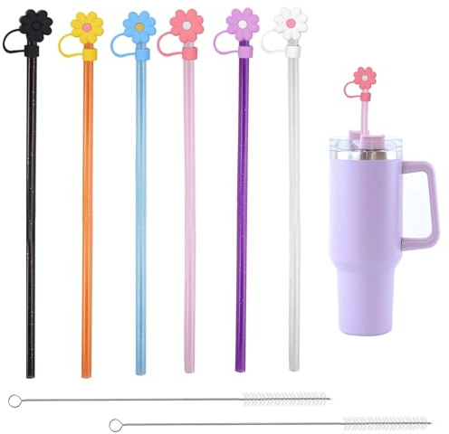 6 Pezzi Cannuccia per Stanley Cup, Riutilizzabile da 30 cm, Spazzola per Pulizia, Lunghe per Tazze da Viaggio da 40/30/20oz