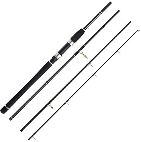 WFT Sea Dart Heilbutt 4er-Set 2,16m 80-220g Trolling Fischrute