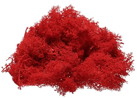 QUARKZMAN Muschio di Renna Conservato, 4 OZ Muschio Finto Artigianato Muschio Secco Artificiale Decorazione Artigianato Terrari Piante Vaso Centrotavola Giardini Fate (Rosso)