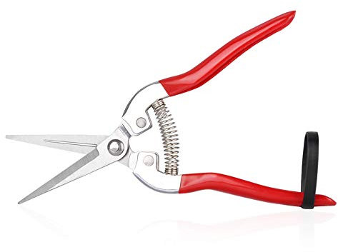 VPMeetx Pruning Shear Garden Scissors - Straight Stainless Steel Blades Pruning Snips - Flower Arranging Plant Trimming Fruit Harvesting Pruner Tool