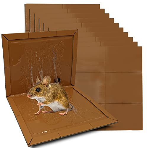 Repulseo® Pieges a Colle Souris Rat Glue, Deratisation Attrape Souris Professionnel, Alternative Raticide Souricide Tapette, Anti Rongeurs sans Poison, Glu Extra Forte Aromatisee(10 Plaques Collantes)