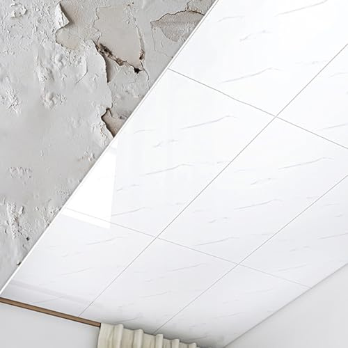RENLXFI Deckenpaneele Deckenplatten Dekorative Deckentapete, Robuste Deckenfliesen, Wandverkleidung Für Gewerbliche Küchen – Decken Schlechte Wände Ab, Weiße Dekorative Paneele(40 Pack)