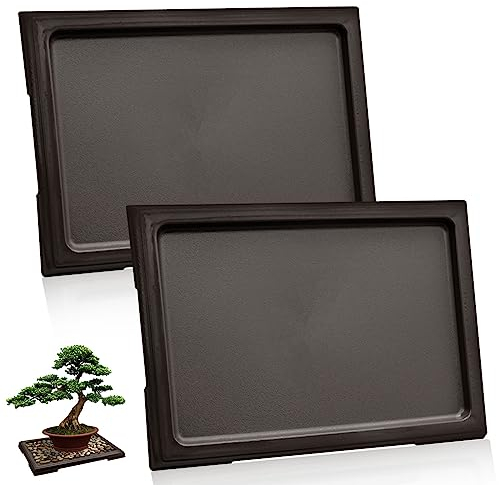 CANIPHA Lot de 2 bacs à bonsaï bacs d'humidité, bacs Drainage carrés en Plastique pour Pots Fleurs, bacs récupération d'eau pour Plantes, bacs Galets pour Plantes d'intérieur, Cactus, bonsaï (Noir)