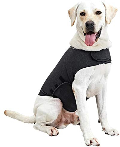 WingFly Hundemantel Beruhigungsweste Hund Anxiety Shirt Stressabbau für Hunde Angst Hundeangst Jacke Hundeentlastungs Haustier Kleidung Haustier Emotionale Beruhigend (S, Grau)