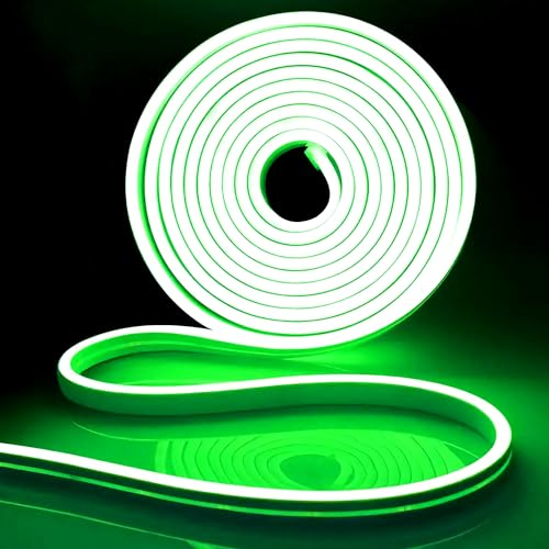 iNextStation Ruban LED 5M Vert, 12V Néon Bande LED Lumineuse IP65 Etanche Silicone Découpable Flexible Néon Lumière pour Chambre, Fête, Bar, Cuisine Décoration (Sans Adaptateur Secteur)