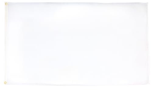 AZ FLAG - Drapeau Unicolore Blanc - 90x60 cm - Polyester léger - Drapeau De Couleur Blanche Avec Oeillets Métalliques Intégrés - 40g