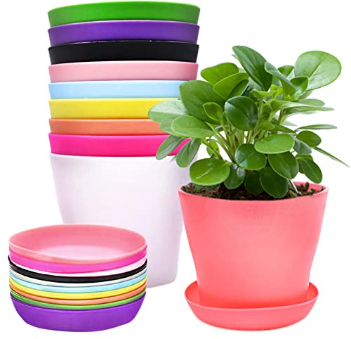 Cisolen 10 Stück Bunte Plastik Blumentöpfe Mini Pflanztöpfe Kunststoff mit Abtropfschalen für Sämlinge Miniaturpflanzen für Garten Büro Balkon Dekoration 10 Farben