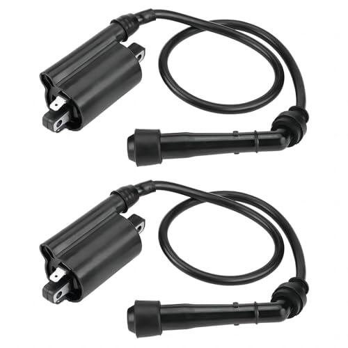 Bobina di Accensione per Moto, 2 PCS Bobina Accensione Ignition Coil Sostituzione Spark Coil Accessorio di accensione per EX500 Ninja 500 500R 1987-2009
