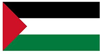 Stormflag Drapeau Palestine 90x150cm Drapeau Palestinien 3x5ft polyester 90g Double couture