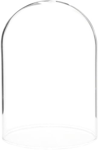 Plymor 3 x 4 Glass Display Dome Cloche (no Base)