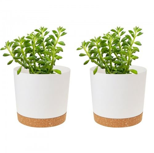 Kioiner Set of 2 Pack Plant Pots, Plant Pot with Drainage Holes and Saucer 12cm, Plastic Plant Pot, Plant Pots Indoor, Modern Planters, Flower Pots for House Garden Windowsill (White)