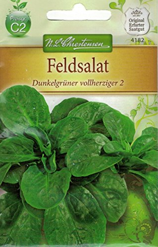 Chrestensen Feldsalat 'Dunkelgrüner vollherziger 2'