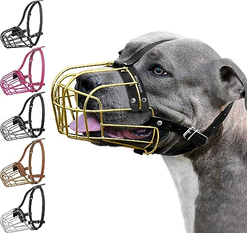 BRONZEDOG Maulkorb für Hunde, Metallmaske, für Amstaff, Pitbull, verstellbare Lederriemen für große Hunde, Gold