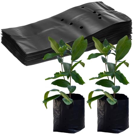 M METERXITY 50-Pack Plastic Nursery Growing Bags 9.4 x 10.6, Black | Thicken, Gardening Seed Plant Bags, for Potato, Flower, Tomato, Plant Starts, Home Gardening Supplies