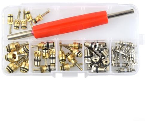 Aprilsunnyzone 41-teiliges Klimaanlagen-Ventilkern-Reparaturset, Auto-Klimaanlagen-Ventilkern-Kit, R12 R134 Automobil-A/C Schrader-Ventile, Kerne Zubehör