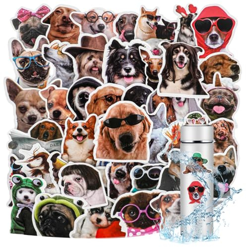 100 Stück Lustige Meme Sticker Meme Aufkleber Niedliche Hund Aufkleber Wasserdicht Vinyl Kawaii Tier für Auto Laptop Skateboard Fahrrad Motorrad Fahrrad Computer Gepäck Stoßstange Kühlschrank Gitarre