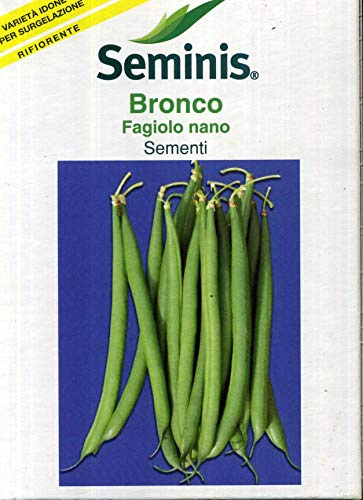 Seminis sementi di legumi piselli, fagioli, fagiolini di qualità per uso hobbystico in confezioni varie (fagiolino nano bronco, 250 grammi)
