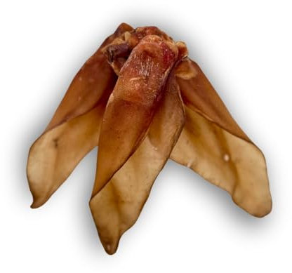 Hundesnack | Kausnack für Hunde | Rinderohren Kingsize | mit Muschel in XXL (25 Stück)