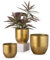 Oairse 3er Set Blumentöpfe aus verzinktem Stahl perfekt für Moderne Dekoration und Pflanztöpfe, Dekorativen Zink Töpfen drinnen und draußen,16.5cm/13.5cm/12cm, Gold