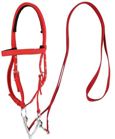 Pannrem – 55 cm justerbar, huvudstycke, hållbar, mjukt näsremfoder, spännrem | säker, bekväm ridhållare för ridhäst, pony-träningsshow-trail-sadelset