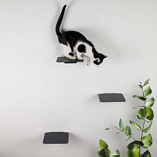 LucyBalu® STEPS Katzentreppe Wand Innen & Außen 3er Set | Katzen Kletterwand | Wandpark für Katzen bis 7kg | Katzenleiter | Anti-Rutsch Beschichtung | 3 Stufen | Wandbefestigung | 18 x 18 cm Anthrazit