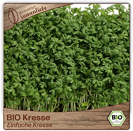 Samenliebe BIO Kresse Samen Einfache Kresse leicht scharfe Gartenkresse Küchenkräuter grün 3000 Samen samenfestes Kräuter Saatgut für Küche indoor und Balkon Garten BIO Kräutersamen