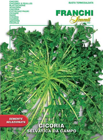Semi Cicoria Selvatica da Campo Franchi Sementi 10g