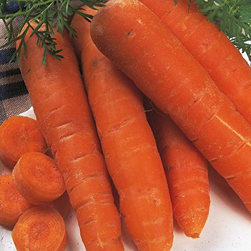 Carrot Flakee (Flak) Pack Kings Vegetable Seeds