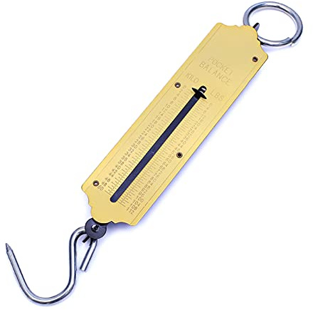 Bilancia portatile con display luminoso bilancia da pesca con gancio bilancia meccanica vecchia bilancia da appendere per la casa 12/50kg bilancia da pesca