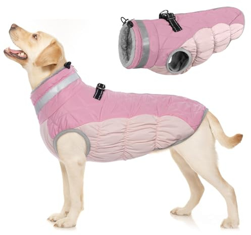 Cappottino Impermeabile Cani, Giacca Invernale Cani Calda Cappotti e Giubbotti per Cani Antivento Abbigliamento Invernale per Cani contro Freddo/Neve(Rosa, L)