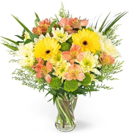 Seasons Joy - Fresh Flowers - Birthday, Anniversary, Get Well, Thank You, Occasion Flower - Cut Floral Arrangement for Gifts, Weddings, Sympathy, Celebrations, Mothers day (Medium)