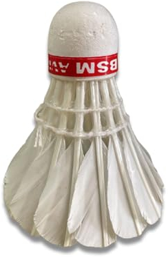 Kajal weiße Badminton-Federbälle - Robuste, langlebige Badmintonbälle für drinnen und draußen, ideal für Anfänger, Training und Freizeit (10 Stück) - Hochwertige Federbälle für alle Spielniveaus