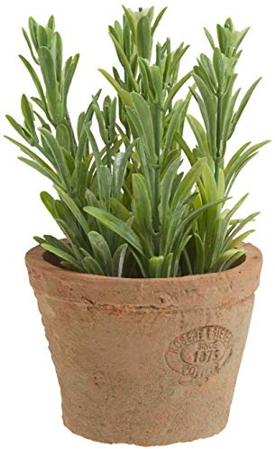 Esschert's Design AH011 Small Artificial Aged Terracotta Pot - Rosemary