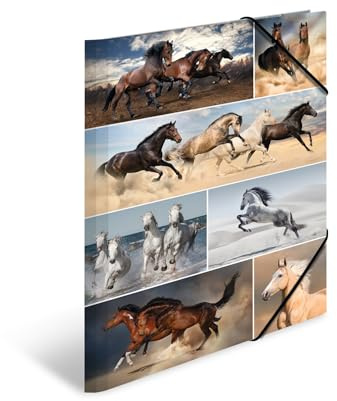 HERMA Chemises à élastique Animaux avec motif Chevaux, A3, carton robuste, avec impression intérieure, 1 porteé de chemise