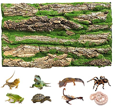 PINVNBY Reptilien-Kork-Terrarium-Hintergrund, Bartdrache, Aquarium, natürliche Rinde, Wand-Habitat-Dekor mit künstlichem Moos, 40 x 29 cm, Reptilienteppich für Gecko, Eidechse, Schildkröte, Frosch,