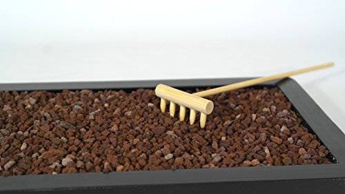 15 tipologia tra Terriccio, Lapillo, Pomice, Zeolite, Humus lombrico, Sabbia di fiume, Akadama, Kiryuzuna, Kanuma, Agriperlite, Torba (Lapillo 3/5 mm., 5 lt.)