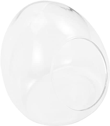 POPETPOP Paysage Bouteille Mousse Plante Croissance Paysage Conteneur Verre Bouteille Vide Décoration De Table