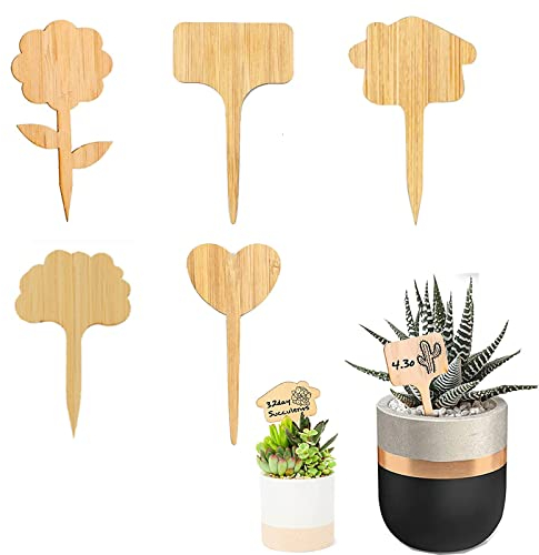 Exbrith 40 Pezzi Etichette per Piante da Giardino, Targhette per Piante T-Tipo, Bambù Etichette per Piante, Mini Targhette per Piante, Piante Cartellini Ecologici, per Giardini Vasi Fiori Verdure