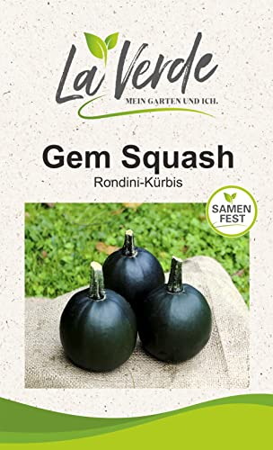 Gem Squash Kürbissamen Grün