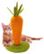 LIFLIX Kratzsäule für Katzen, 42cm Karotte Kratzbaum Klein, Natursisal Kratzstamm für Katzen Indoor