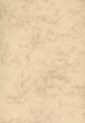 Albert Hoffmann Urkundenverlag Neutrale Vordrucke/PC Muschelkarton A3 P/PC-Urkunden (170 g/m²) 100 Stk