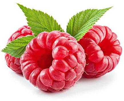 Fruit Plants, Multi-Pack, Raspberry and Gooseberry and Blueberry, 3 x Varieties, 3 x Full Plants in 2 Litre Pots, Garden Ready and Ready to Plant, Premium Quality Fruit