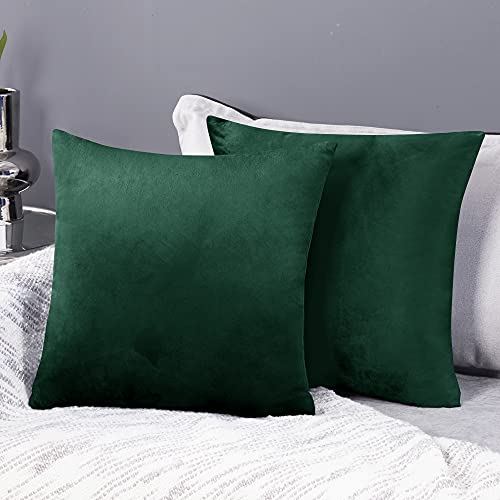 Deconovo Kissenhülle Samt Kissenbezüge Sofa Kissenbezug Zierkissenbezüge Weich Dekor Schlafzimmer Sofakissen Wohnzimmer Dekokissen Kissenhüllen Couch Büro, 45x45 cm, Waldgrün, 2er Set